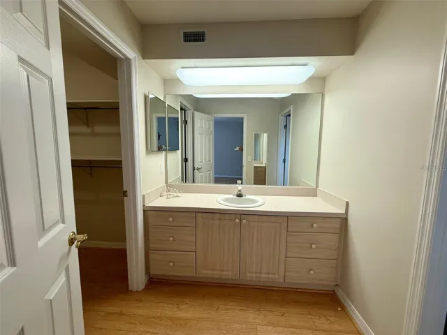Master Bath vanity area