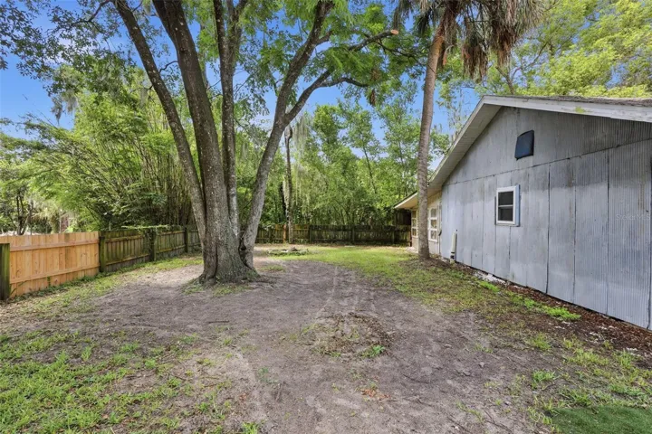 Back yard