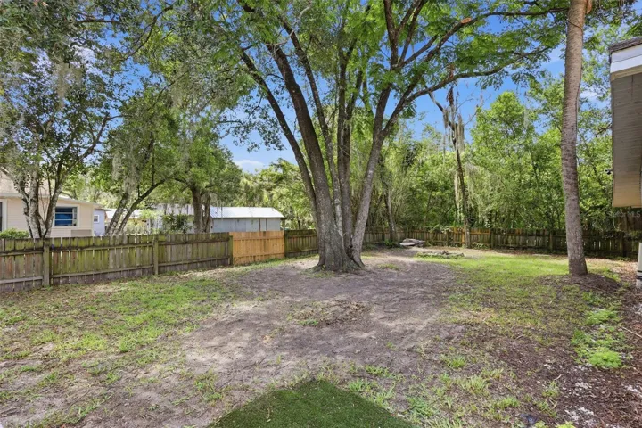 Back yard