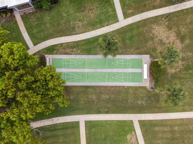 Shuffleboard aerial