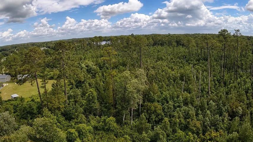 15+ acres of private wooded Florida landscape with room to roam.