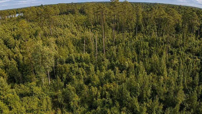 15+ acres of wooded privacy with room to roam and explore.