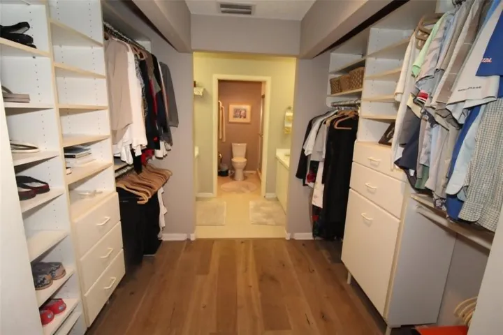 primary double open closets