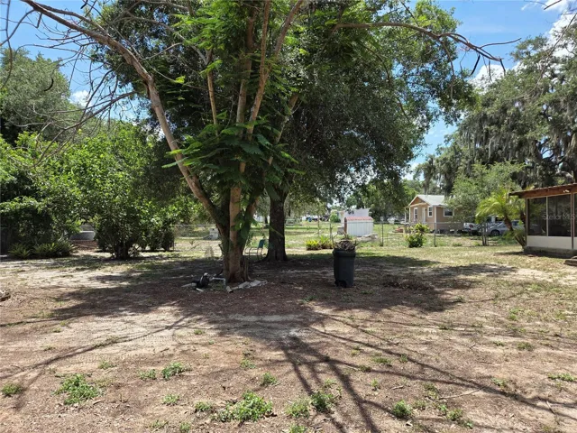 Backyard