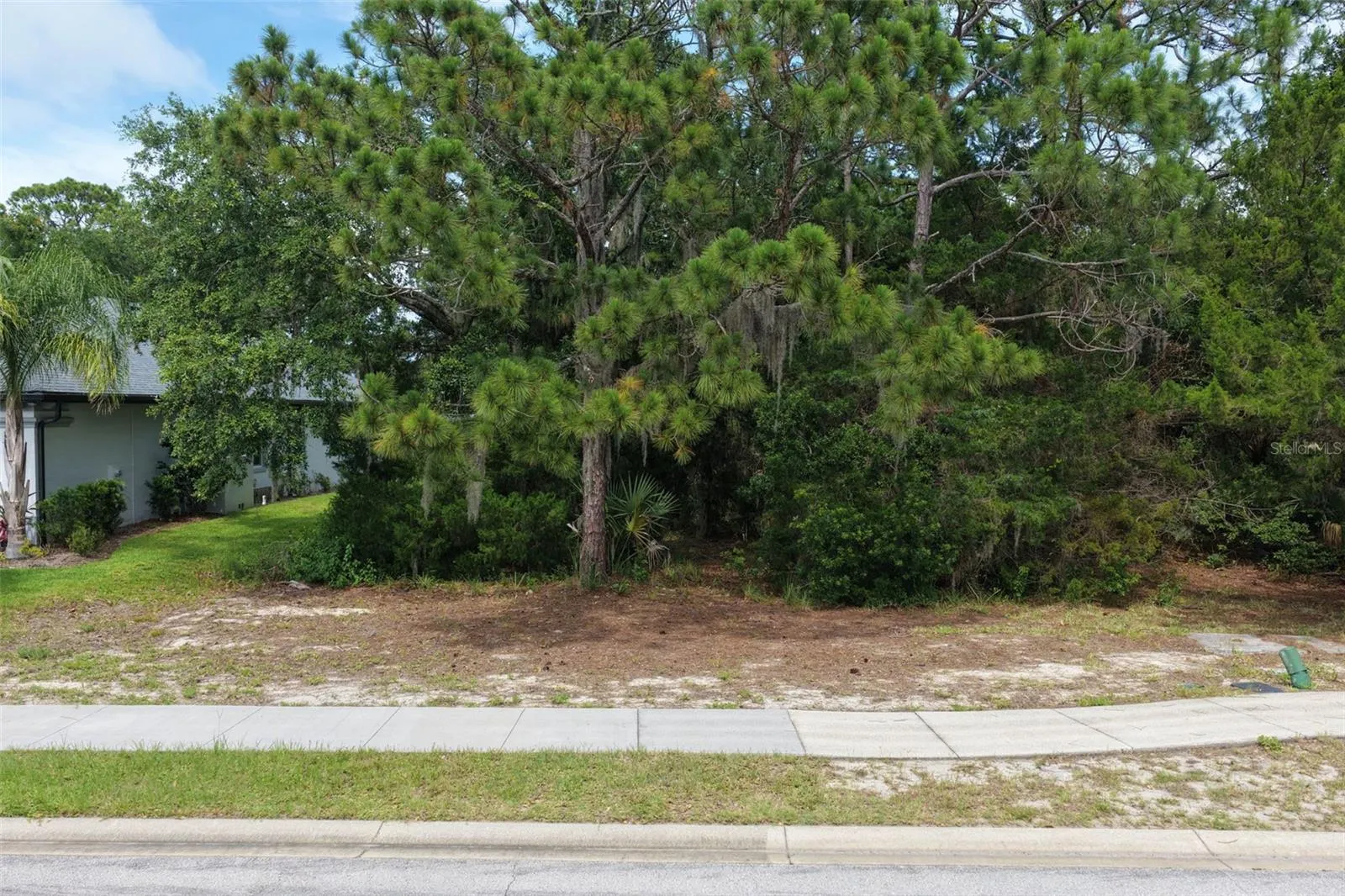 Street view of property