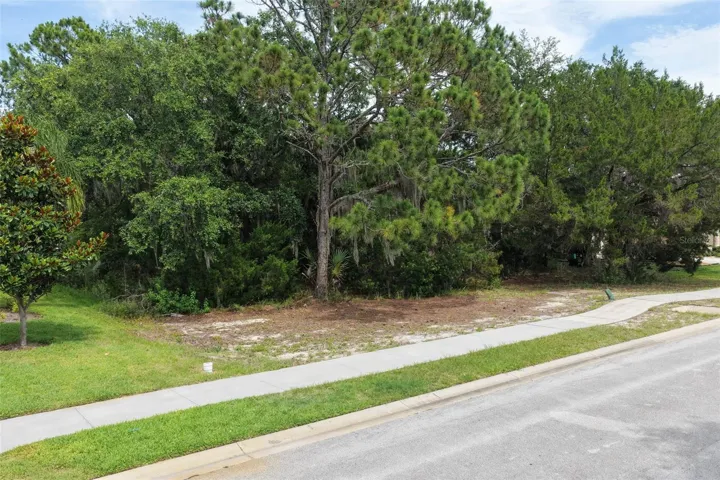 Street view of property