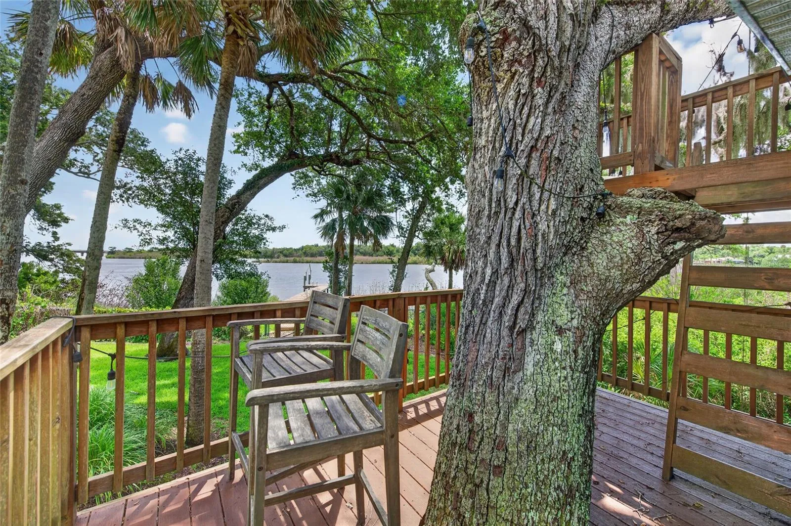 Tree House
