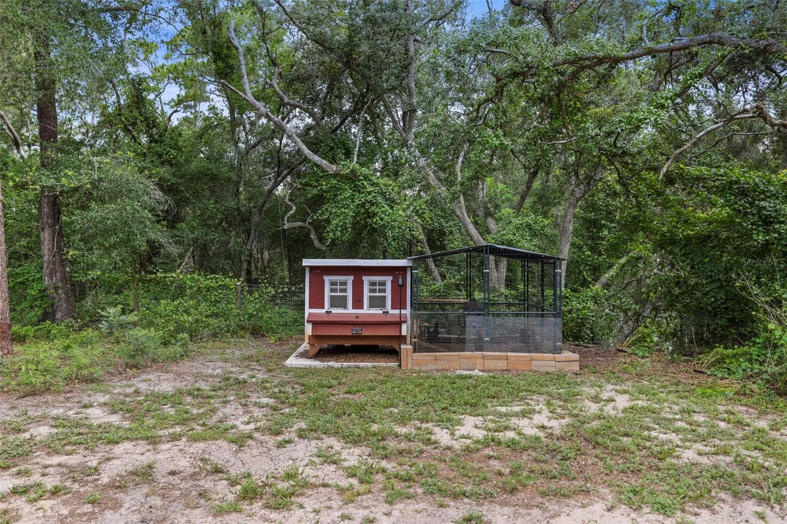 Chicken Coop