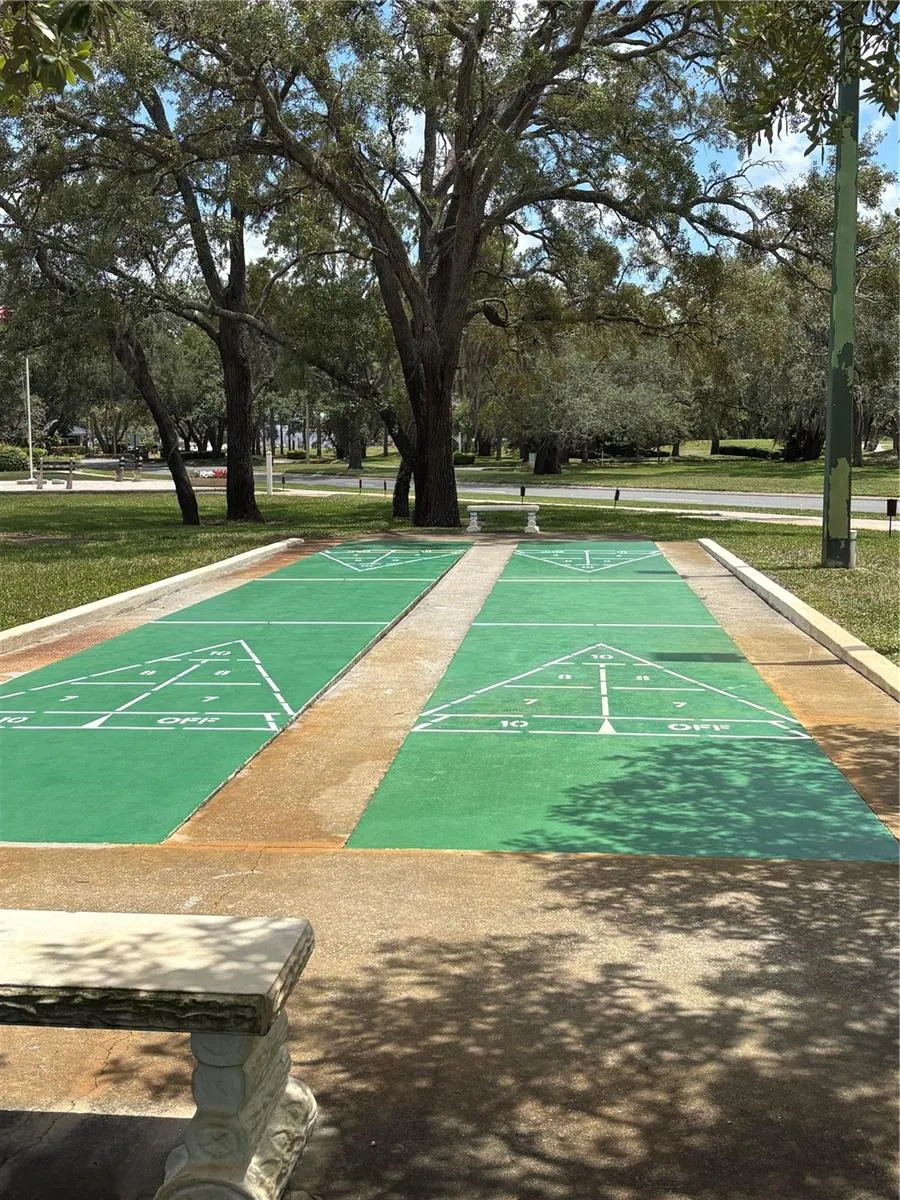 Shuffle board courts