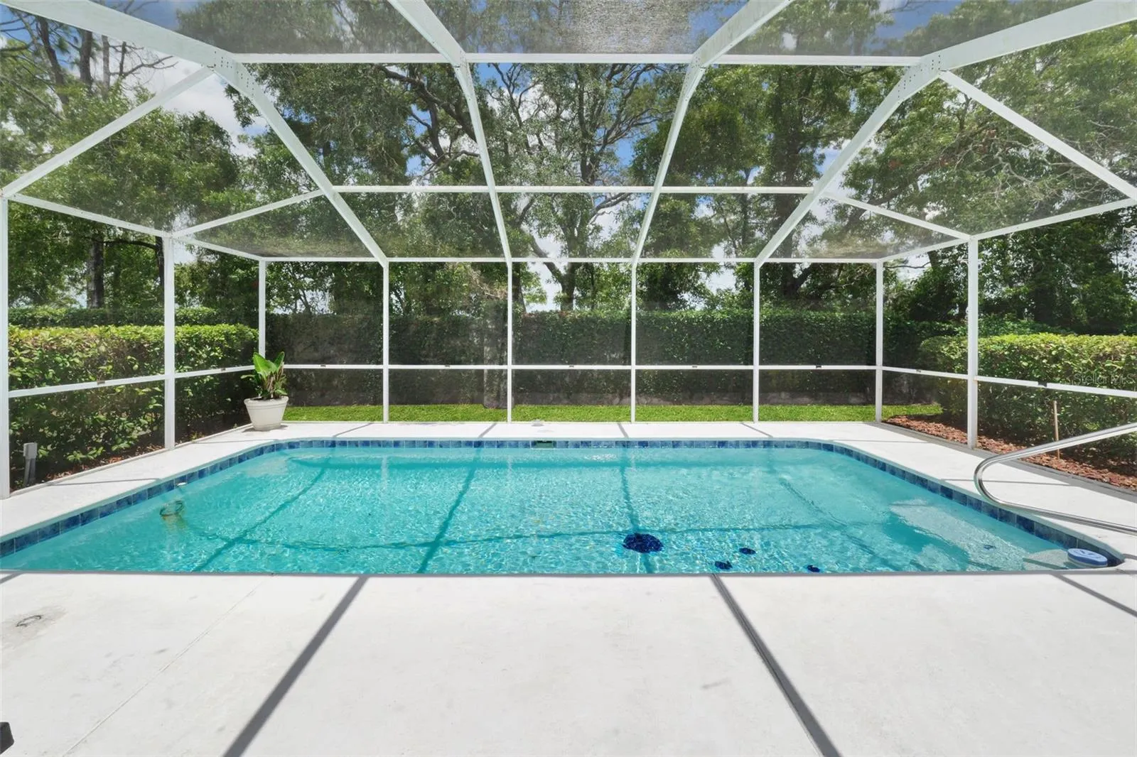 Sparkling pool ready for summer time fun