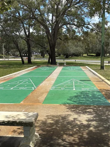 Shuffle board courts