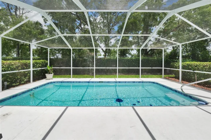 Sparkling pool ready for summer time fun