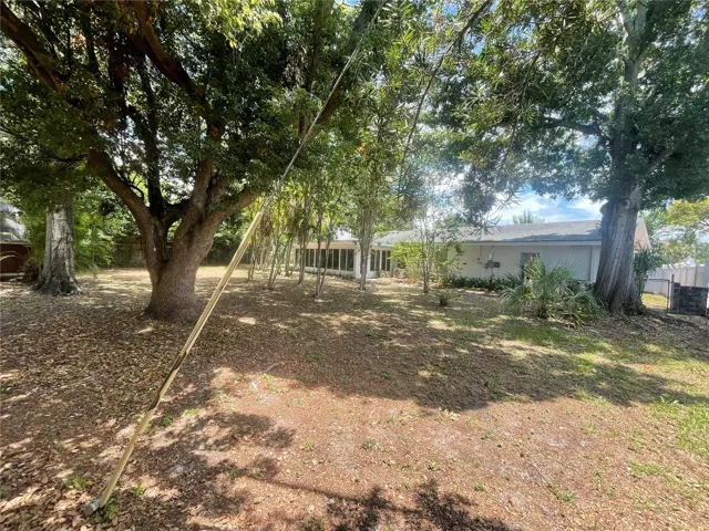 Backyard looking to house