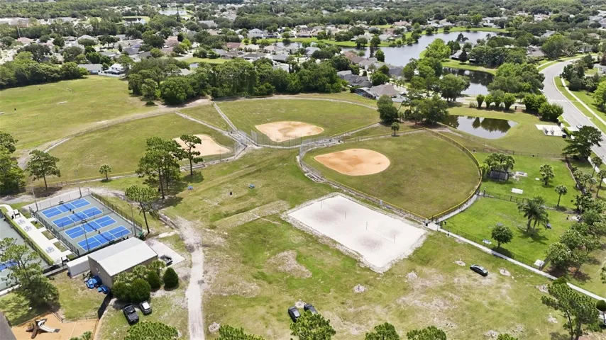 BASEBALL AND VOLLYBALL
