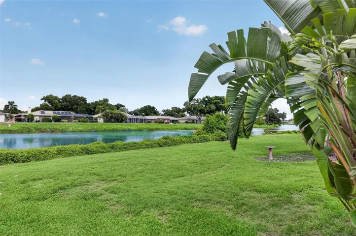 Gorgeous Lake View