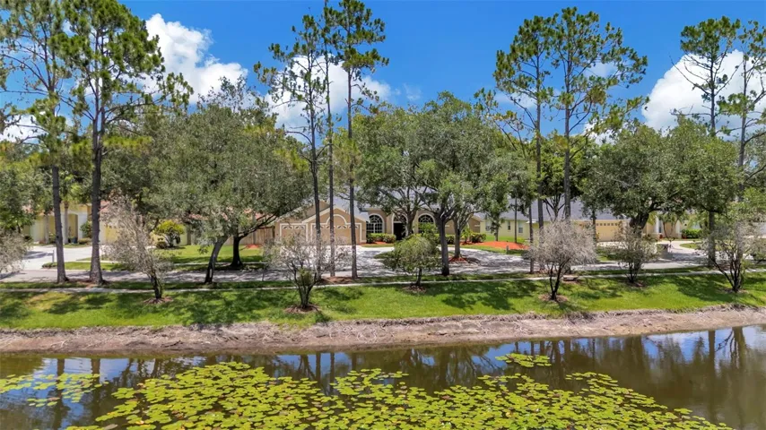 Front Pond View
