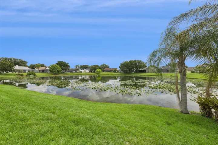 Pond View