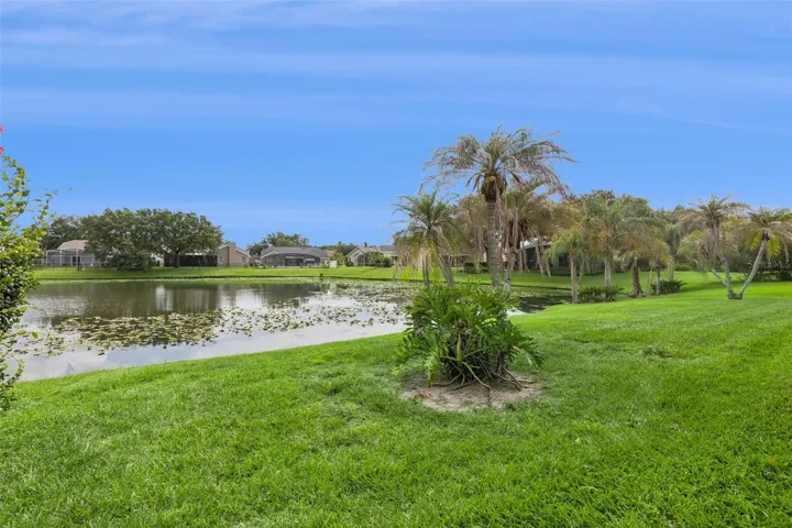 Pond Viea