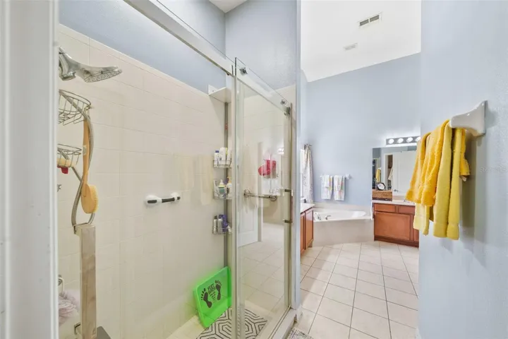 Master Bathroom Shower