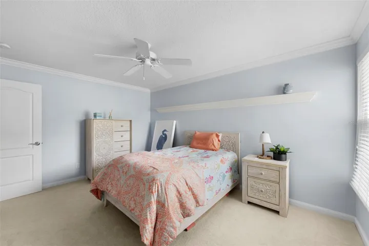 Guest bedroom pic 3