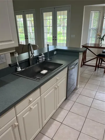 Kitchen sink, large size!