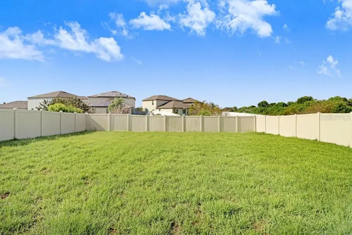 Back yard
