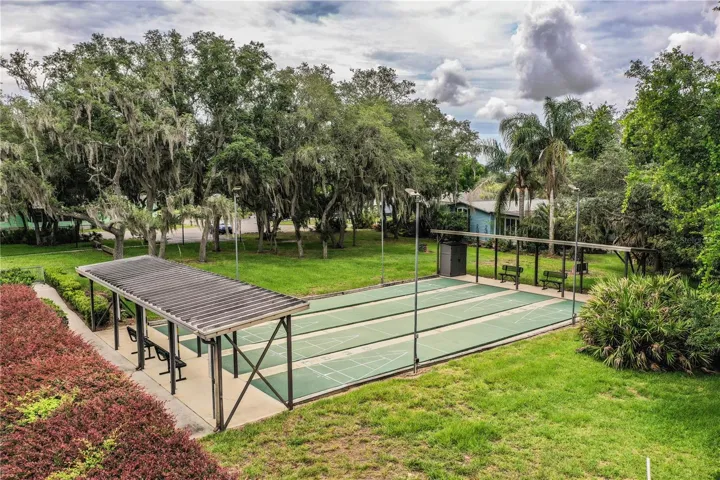 Shuffleboard courts