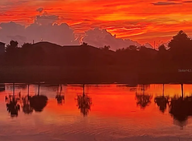 Great Photo opportunities in your backyard!
