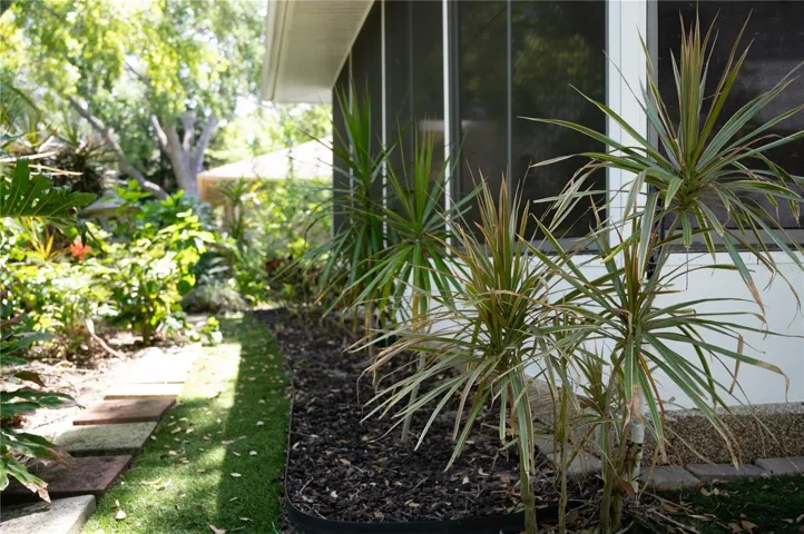 Backyard/Exterior