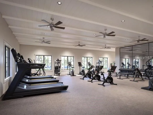 Fitness