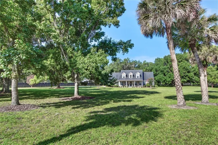property has some trees including palm trees & all have been well cared for!