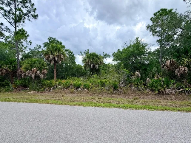 Lot view