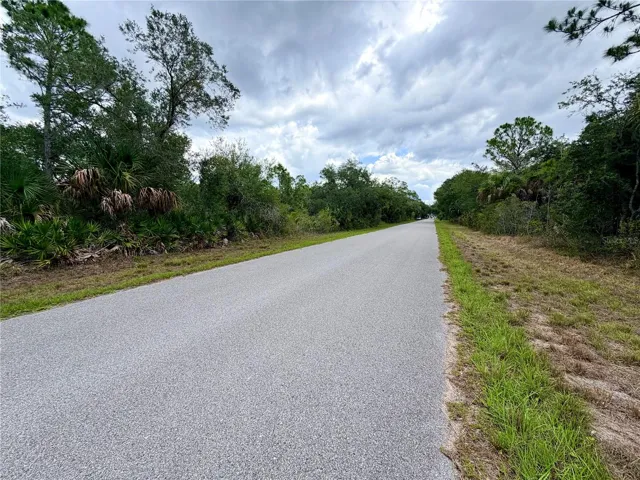 Road view