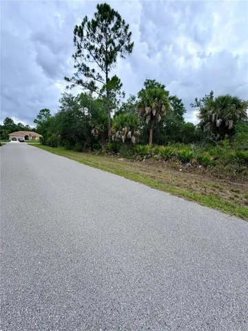 Road view