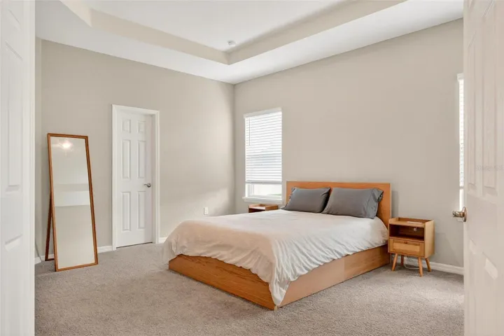 Primary bedroom featuring tray ceilings, a walk-in closet and an ensuite