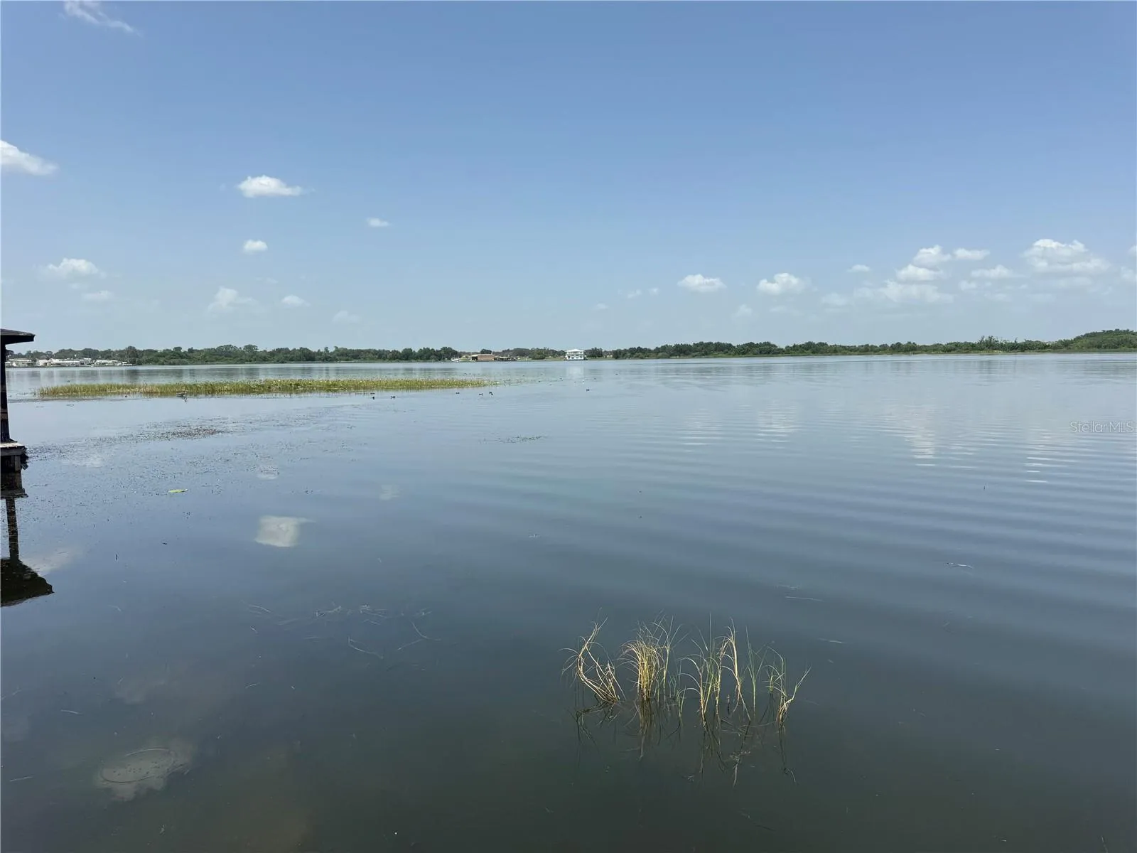 Lake Jessie dock view