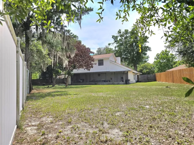 Back yard