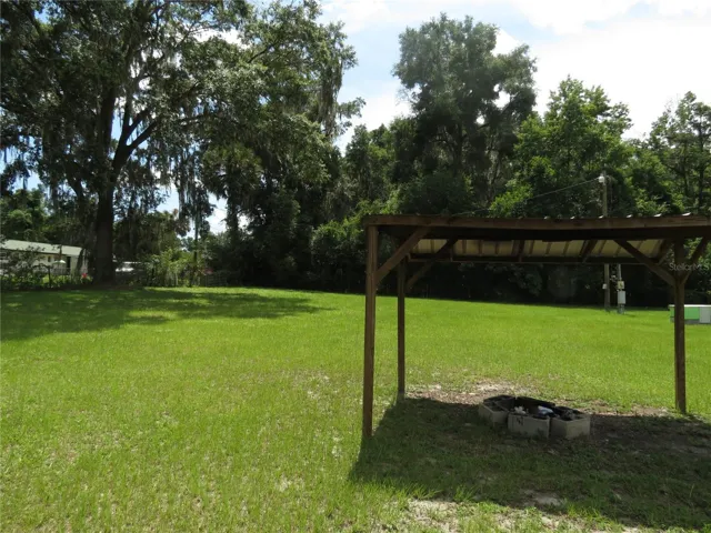 back yard