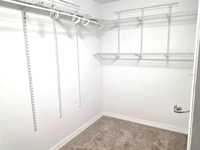Bedroom 3 closet - NEW CARPET