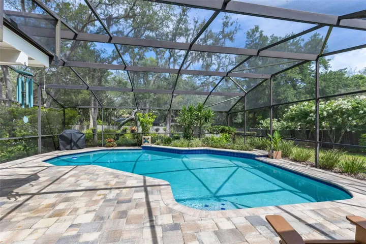 Let's talk about this pool.....