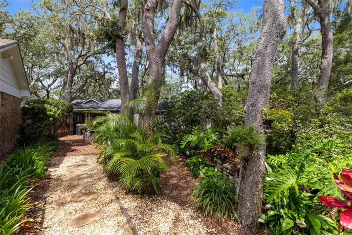 pathway to peace in the backyard