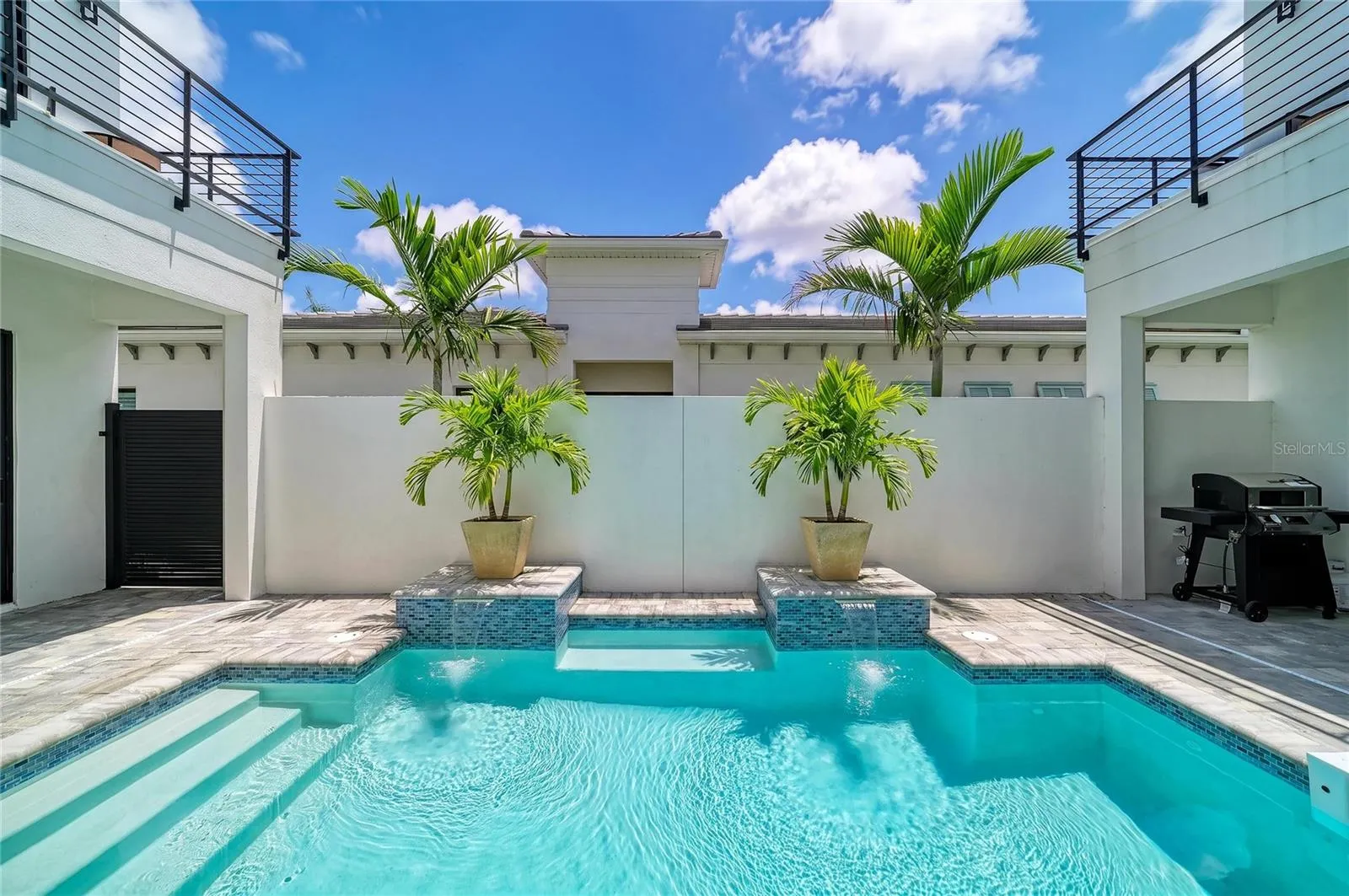 staged palms in pool patio