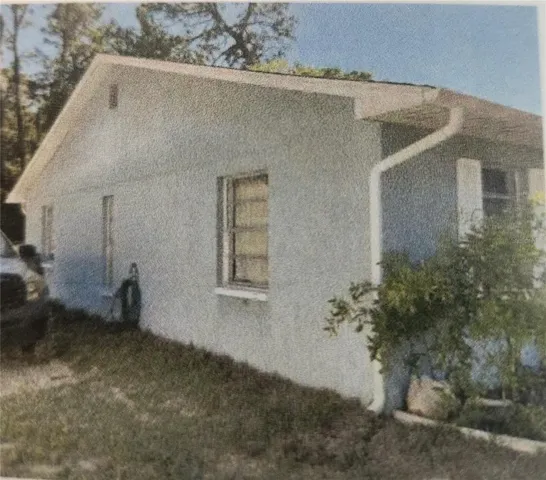 Left view