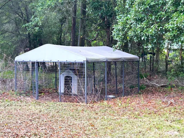 Dog Kennel