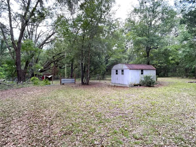 Shed in backyard