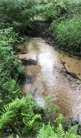 creek access from your property