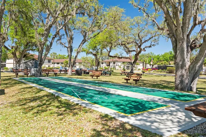 Shuffleboard courts