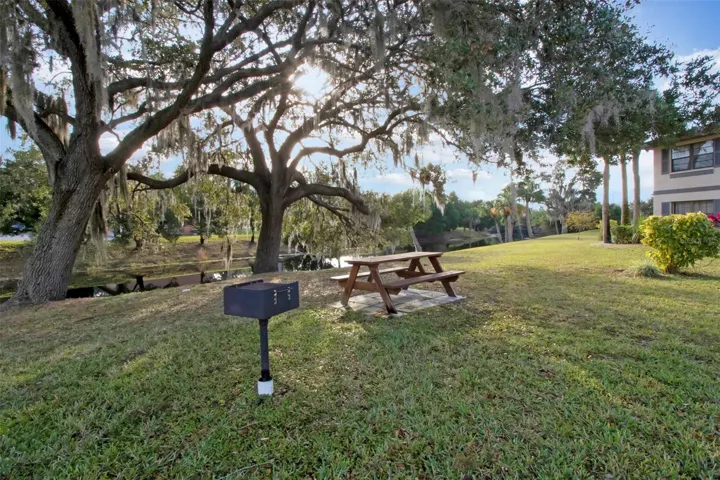 Grills and picnic spaces