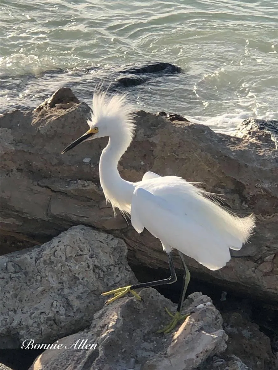 Never a bad hair day when Saltwater is nearby!