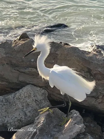 Never a bad hair day when Saltwater is nearby!